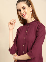 Nayo Women Burgundy Solid Solid Mandarin Collar Fit and Flare Dress